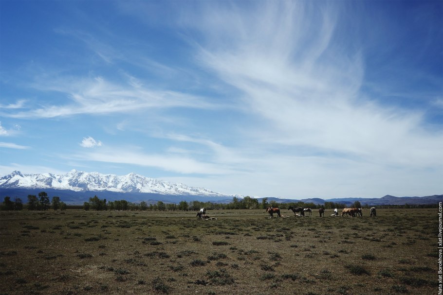 Тургайская ложбина