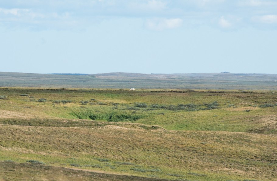 Погода в Тургае