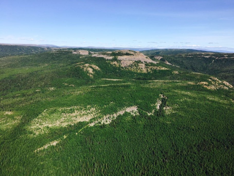 Канатhыз Тургай что такое