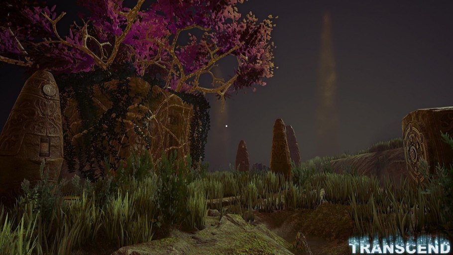 Канариум индийский