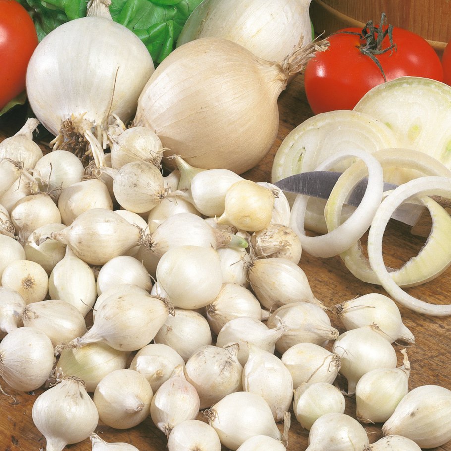 Развеян миф о чесноке и луке