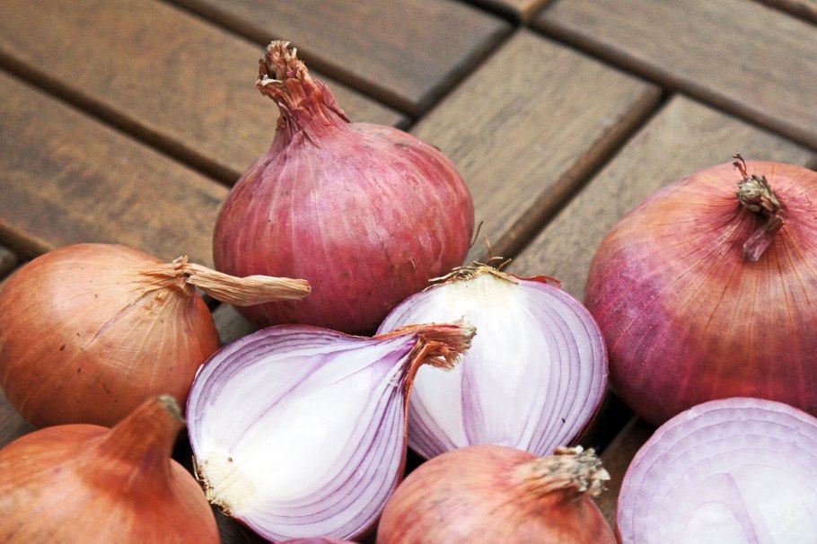 Лук овощ