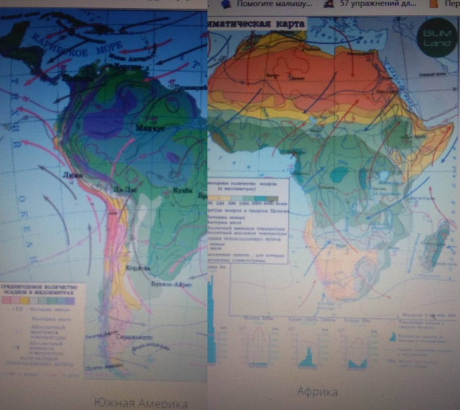 Климат южной америки экваториальный пояс