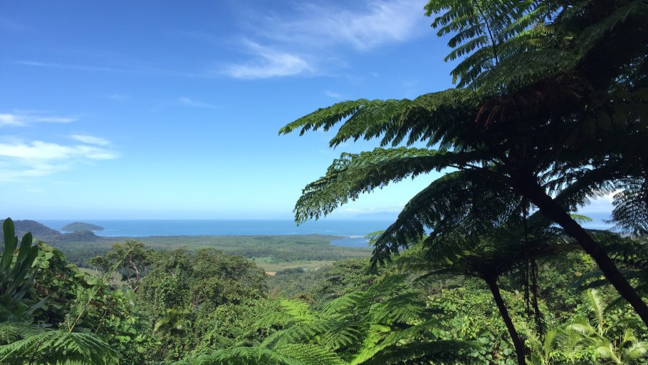 Джунгли Пуэрто Рико