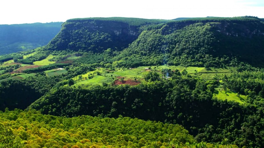 Муссонные листопадные леса Индонезии