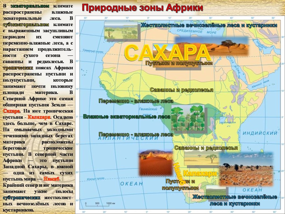 Природные зоны африки 7 класс география