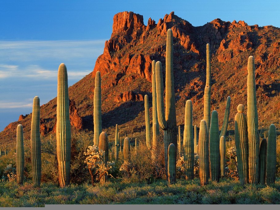 Штат Аризона