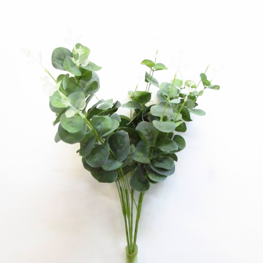 Семенные коробочки эвкалипта