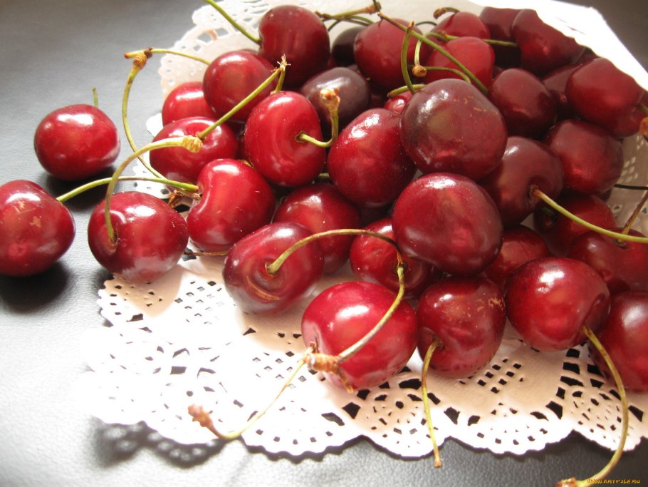 Вишня черешня дерево