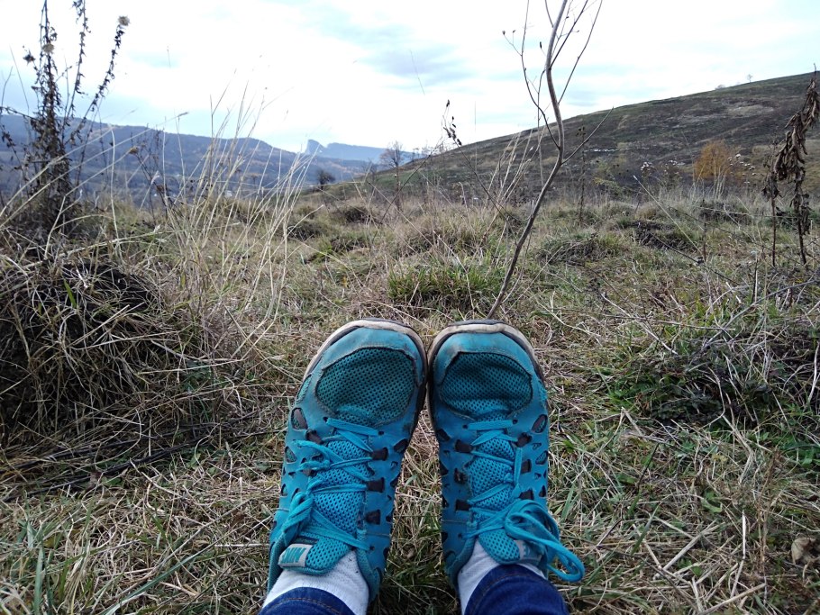 Лук ред Барон