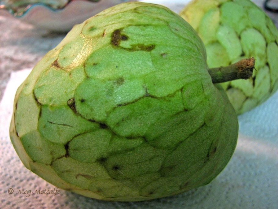 Аннона атемойя