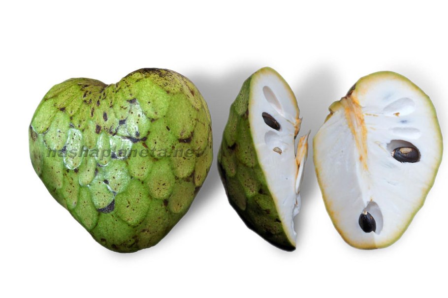Сахарное яблоко черимойя