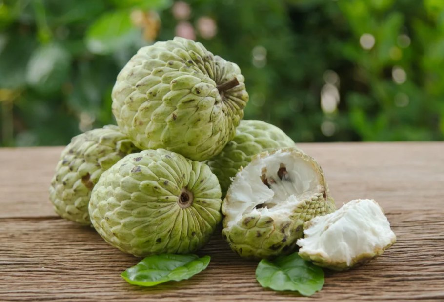 Сахарное яблоко черимойя