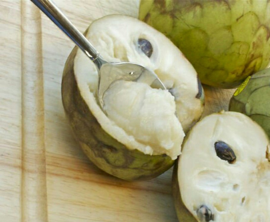 Сахарное яблоко черимойя