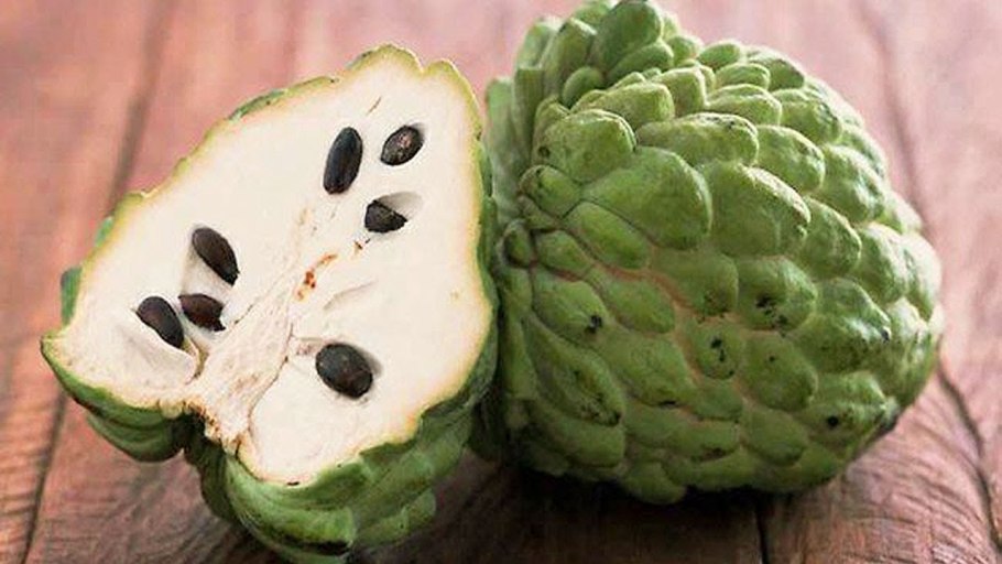 Annona cherimola (аннона черимойя) семена