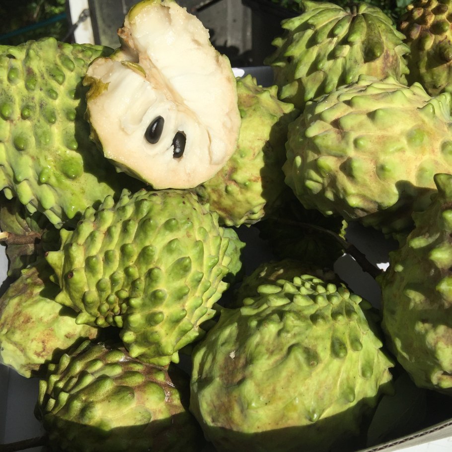 Аннона черимойя