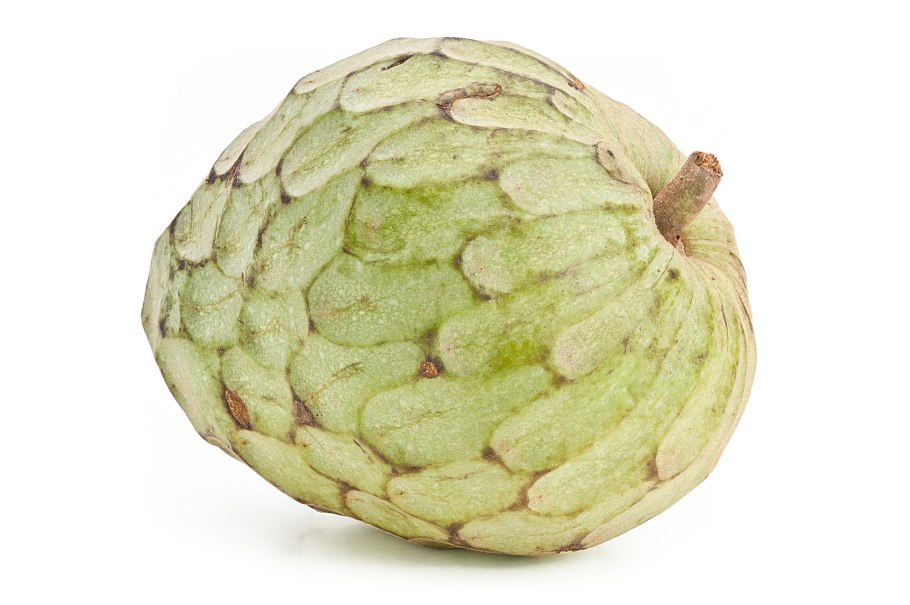 Черимойя растение