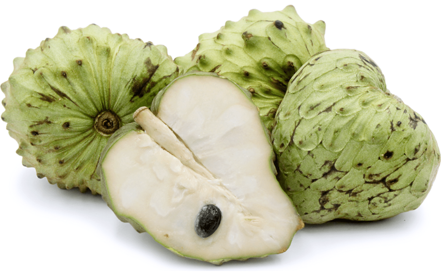 Аннона черимойя