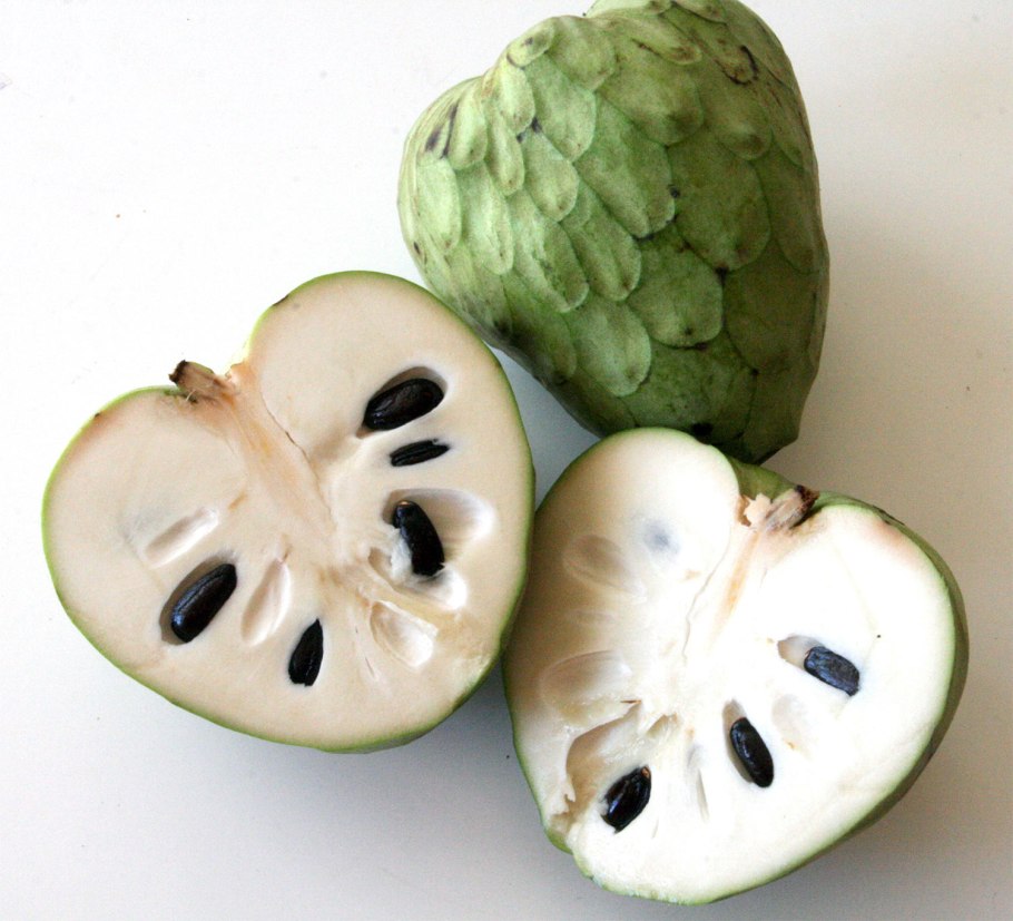 Черимойя фрукт фото