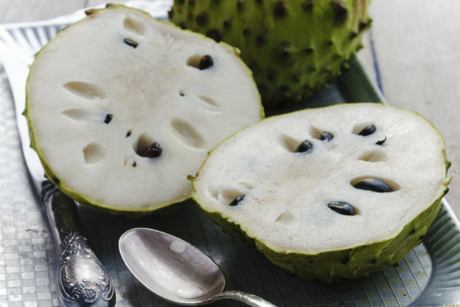 Аннона черимойя