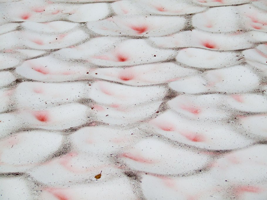 PV контроллер заряда ls1024rp