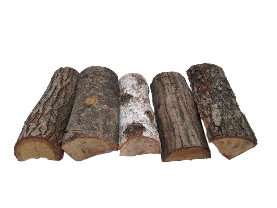 Дрова пеньками