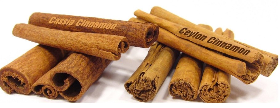 Кассия растение корица