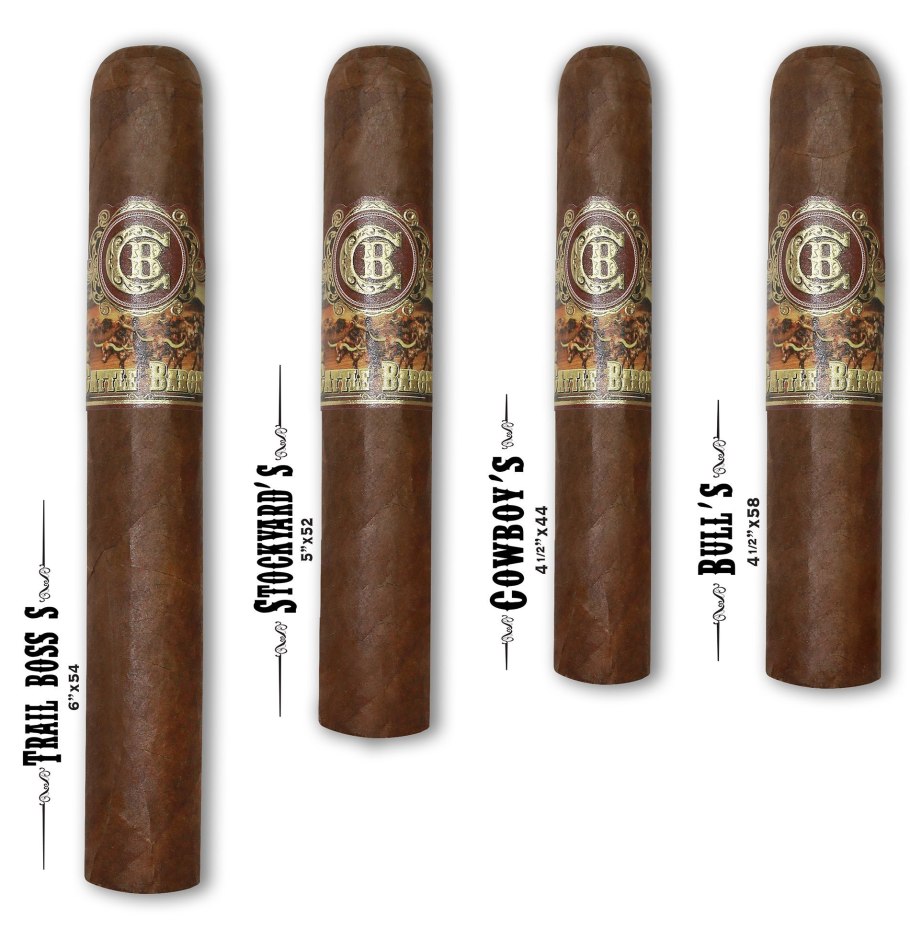 Корица цейлонская (Cinnamomum zeylanicum)