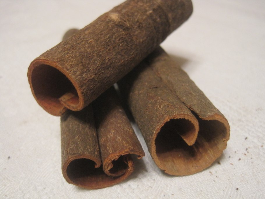 Cinnamomum Cassia