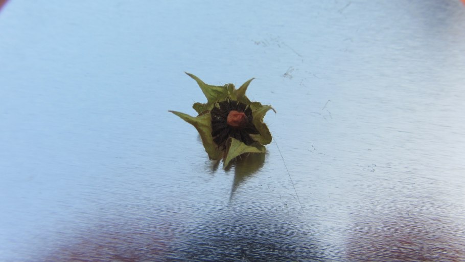 Электросхема автоматики Будерус 2107