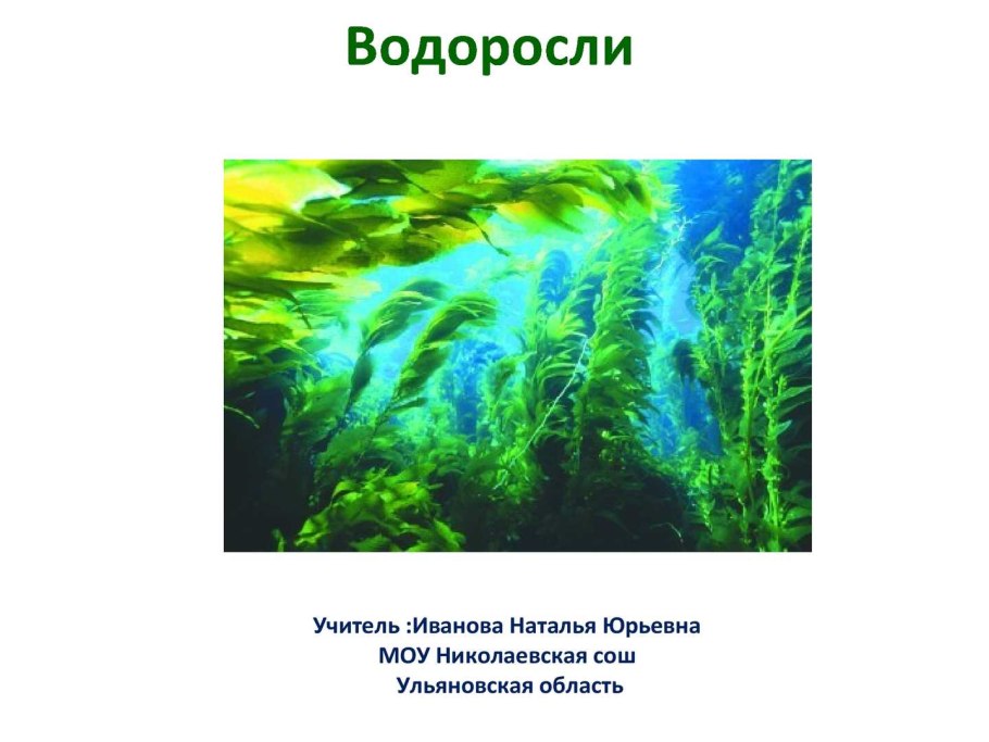 Проект по биологии 5 класс водоросли