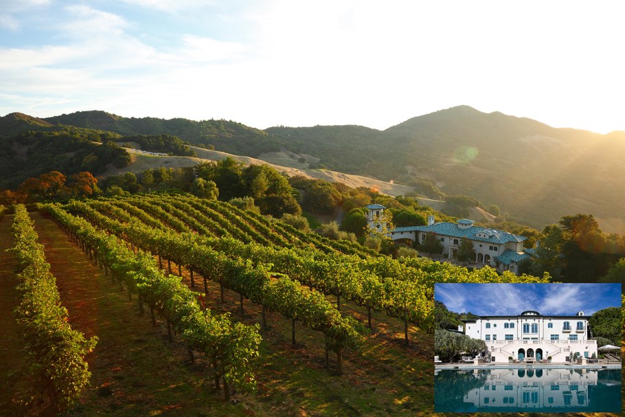 Виноградники вилла Романова