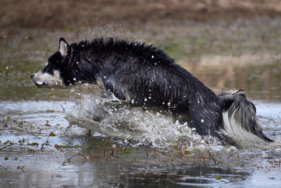 Головин Аляска погода