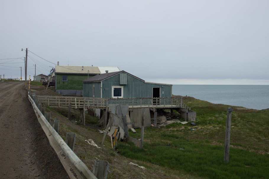 Потанцуем лайка собака