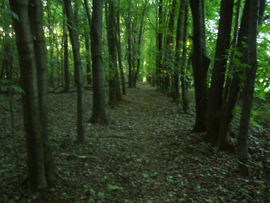 Лесопитомник Каменушка