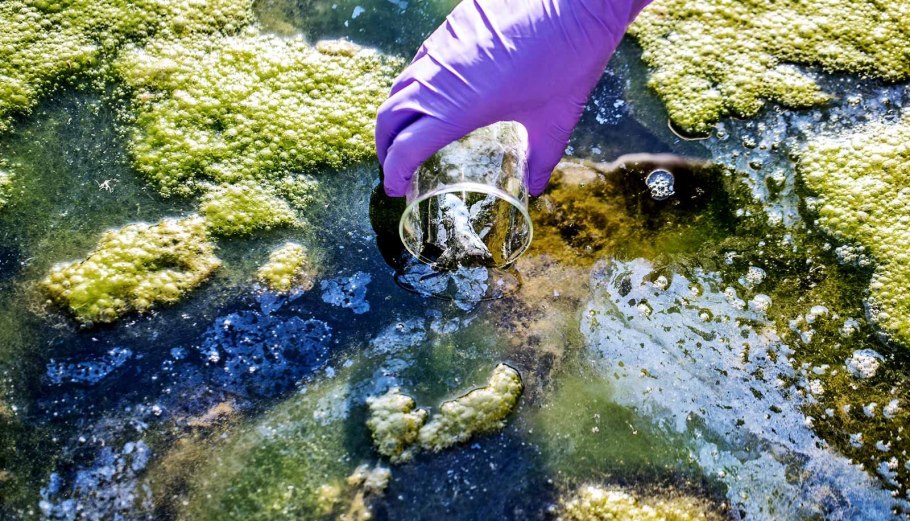 Бактериальное загрязнение воды