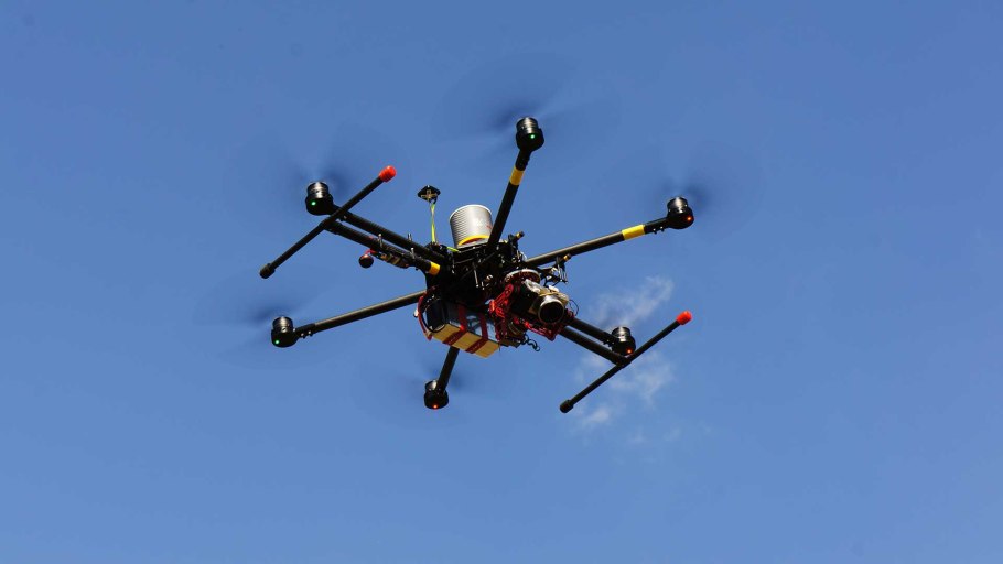 Травяной уж