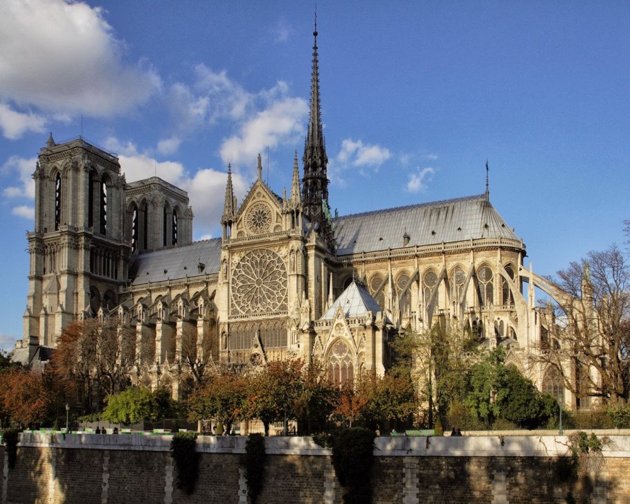 Мутисия падуболистная ( Mutisia ilicifolia )