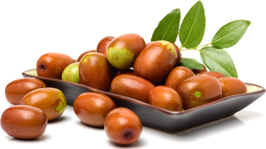 Ziziphus Jujuba
