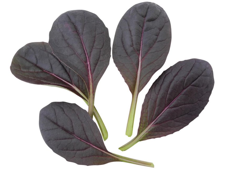 Капуста китайская тат сой