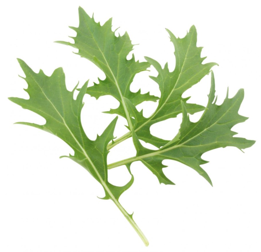 Огурец, пак-Чой, листовой салат