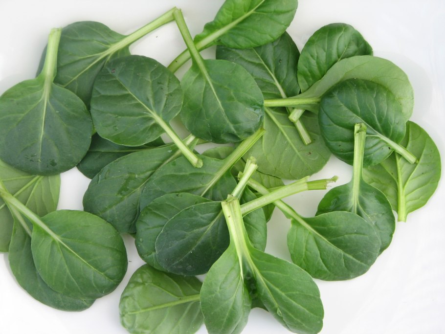 Капуста Татсой микрозелень