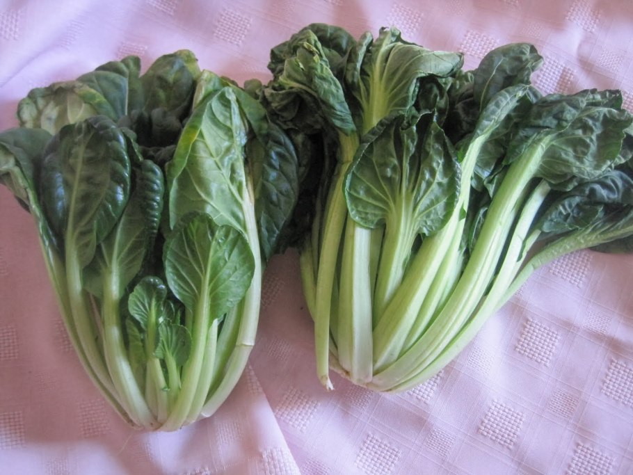 Капуста китайская Татсой (уд)