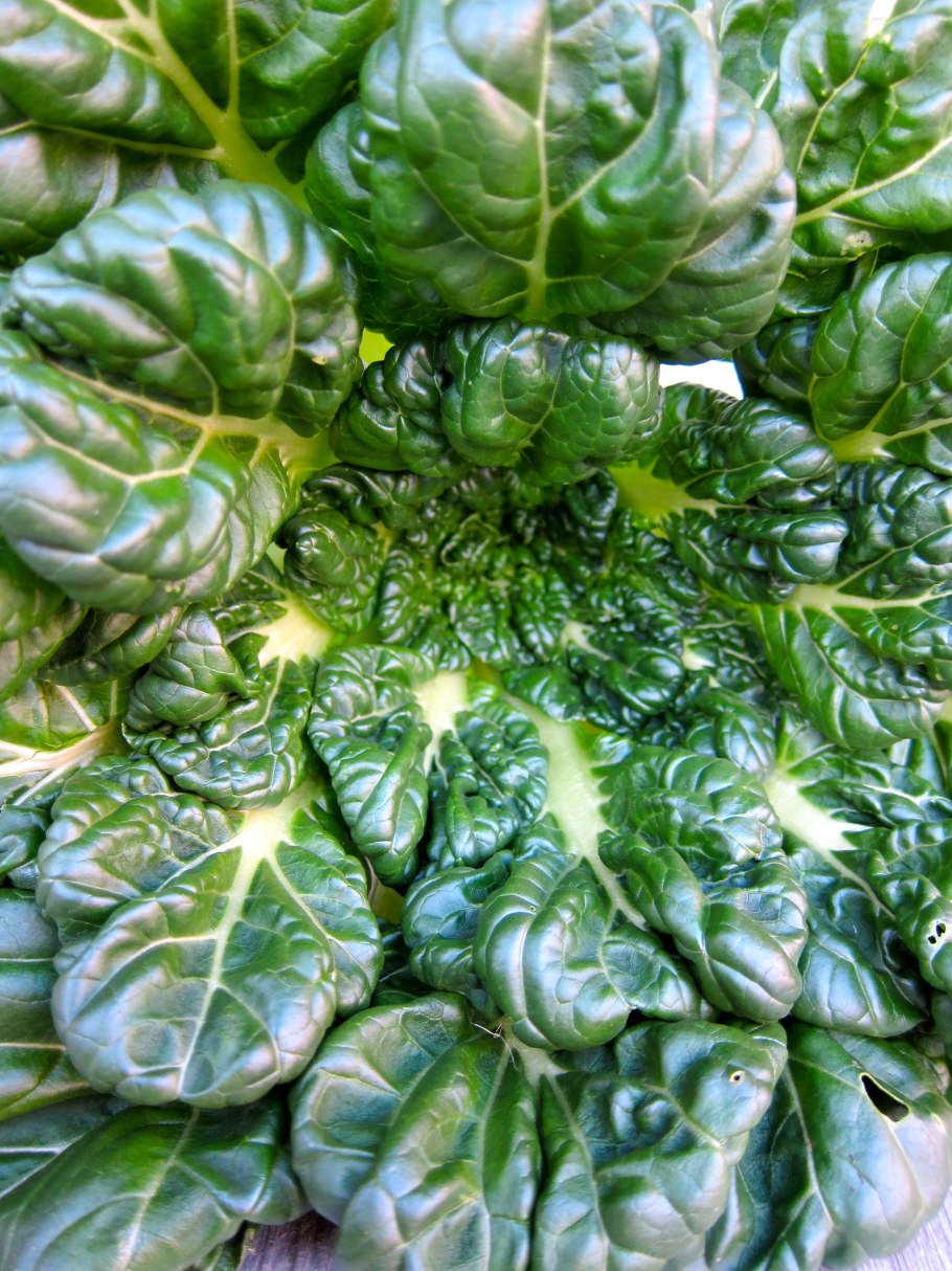 Татцой салат