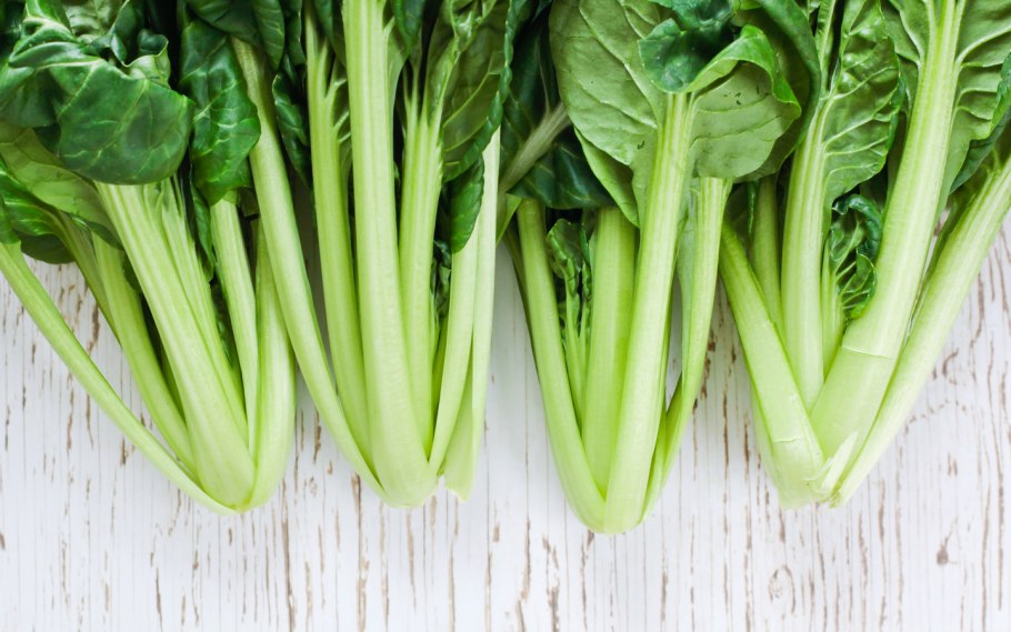 Виды зелени для салатов