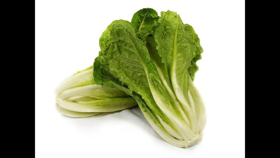 Татсой в блюдах