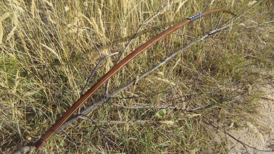 Уборка лука репчатого