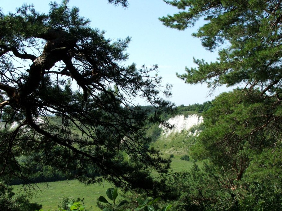 Меловые горы шебекинский район