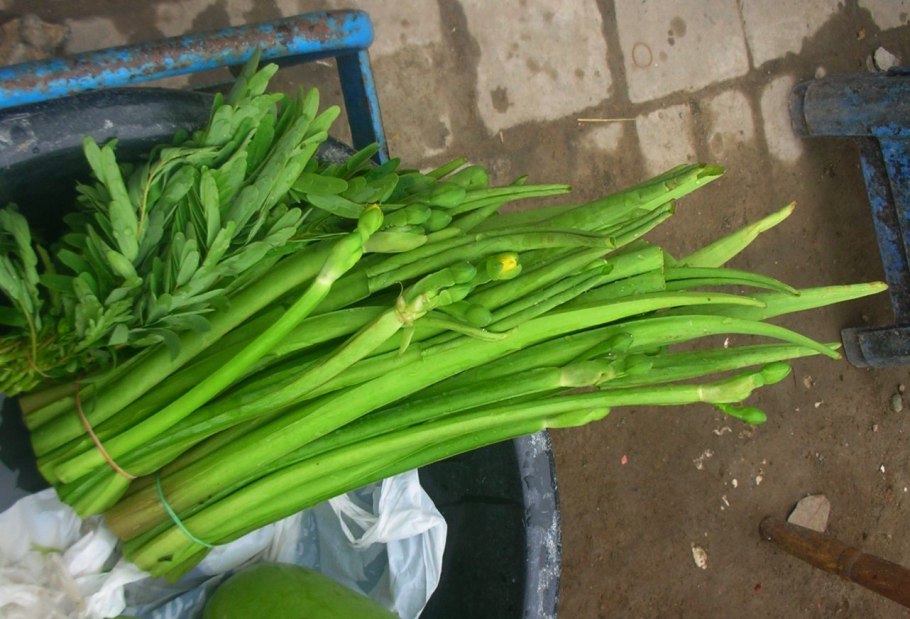 Желтые весенние цветочки