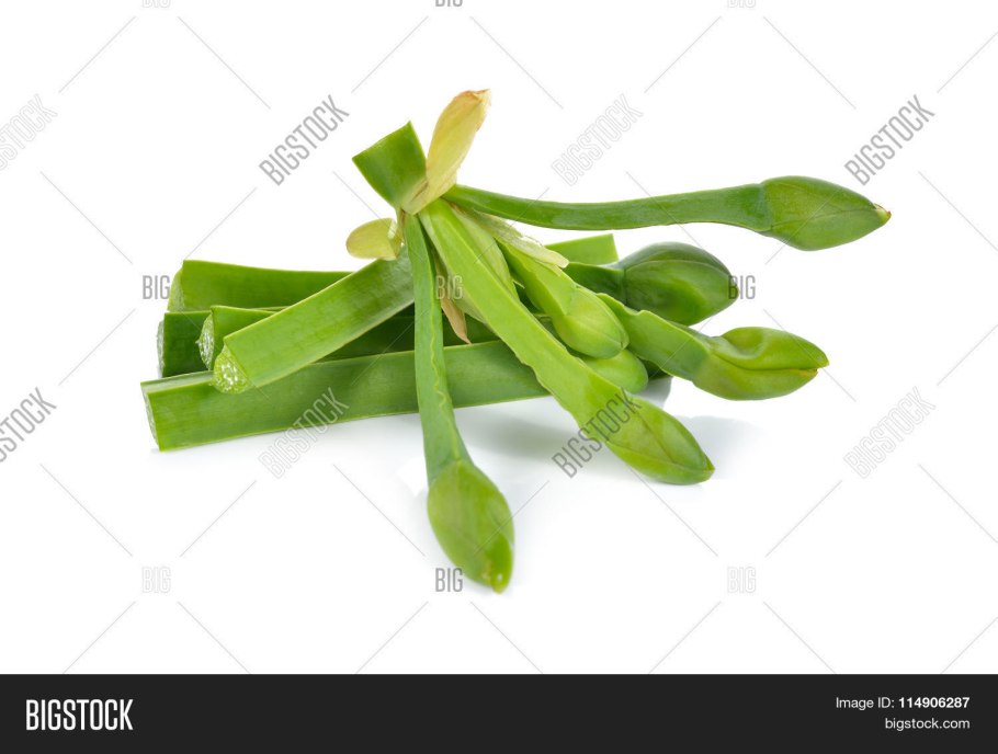 Hydrocleys nymphoides